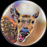 Telegram profile photo for Артколхоз