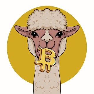 Telegram profile photo for Alpaca