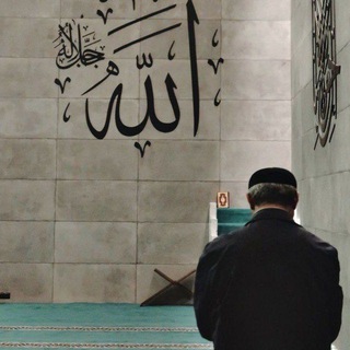 Telegram profile photo for فـَانِـيـَة ۦ'