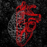 Telegram profile photo for اخبار دیجیتال و ایردراپ های سایتی 🔥🤖🚀