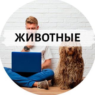 Telegram group profile photo for 🐾 ЗооБизнес 💼