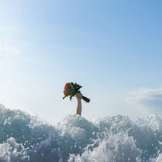Telegram profile photo for Sine Fine Studio / Benoit Barbagli Vautier - Newsletter