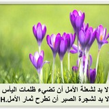 Telegram profile photo for همسة....وصل