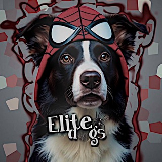 Telegram profile photo for 𝙀𝙡𝙞𝙩𝙚.𝙙𝙤𝙜𝙨ᶜʰᵃᶰᶰᵉᶫ