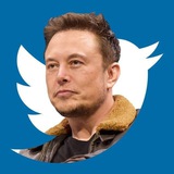 Telegram profile photo for Elon Musk Xweets