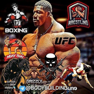 Telegram profile photo for SPORT