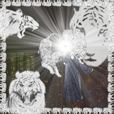 Telegram profile photo for СИТИМОГИЛ
