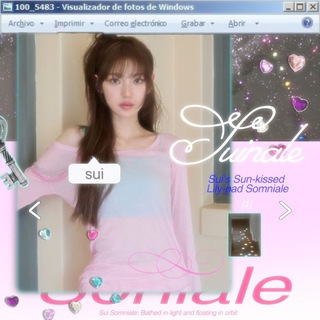 Telegram profile photo for (DISBAND) Sui Somniale.