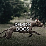Telegram profile photo for Demon dogs
