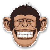 Telegram profile photo for Скинь видео