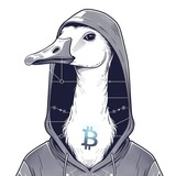 Telegram profile photo for Гусиные истории завтра в 5