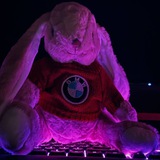 Telegram profile photo for BMW