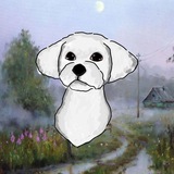 Telegram profile photo for 🫧Maltese||Mia🫧