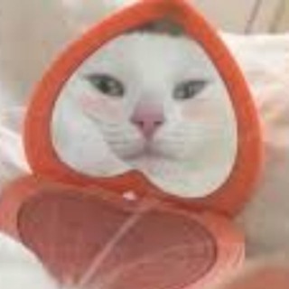 Telegram profile photo for Шутки за 299.99