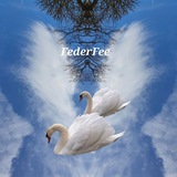 Telegram profile photo for FederFee 🦢🦆🤍