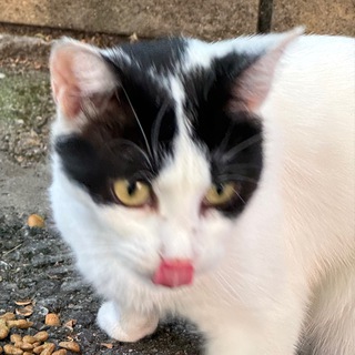 Telegram profile photo for Великое расхламление