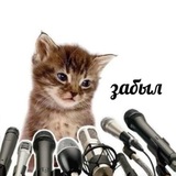 Telegram profile photo for это мой канал