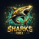 Telegram profile photo for قنا خاص بي الفوركس SharksForex. 😎