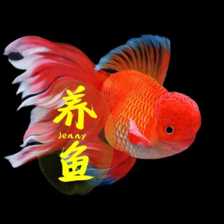 Telegram group profile photo for jenny家水族交流群 🐠爬行异宠