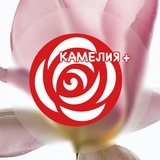 Telegram profile photo for КАМЕЛИЯ+ | Цветы Курск | Доставка цветов в Курске