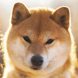 Telegram profile photo for Estee