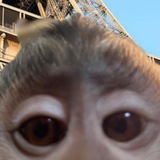 Telegram profile photo for MythosFlip