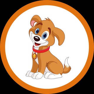 Telegram profile photo for DogeChu