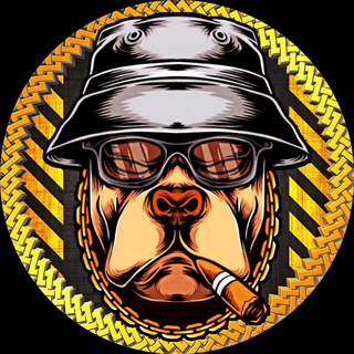 Telegram profile photo for Yogi Inu 🐶