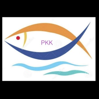 Telegram profile photo for Nifty FNO like pkk