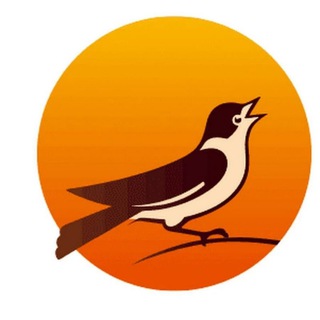 Telegram profile photo for НОВОСТИ ЧЕРНОГОЛОВКИ