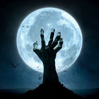 Telegram profile photo for Moon Signal π