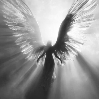 Telegram profile photo for Ϯґκ #ɯєπѳϯ ѧʜґєʌѧ