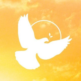 Telegram profile photo for Dawn of Peace
