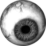 Telegram profile photo for ΰΌππππκ§