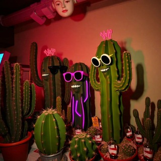 Telegram profile photo for 🌵Cactus🌵