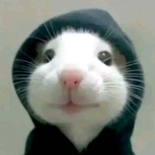 Telegram profile photo for ناصر دوقه