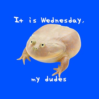 Telegram profile photo for WednesdayCoin Portal