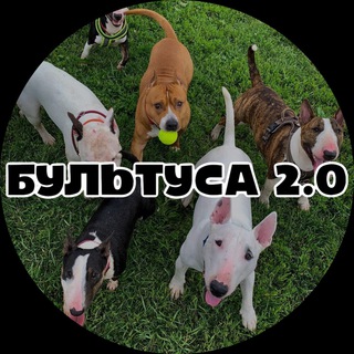 Telegram profile photo for БУЛЬТУСА