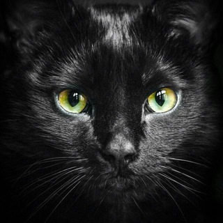 Telegram profile photo for Таро с Надей