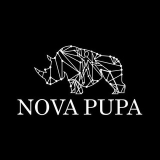 Telegram profile photo for Nova Pupa Announcement channel