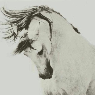 Telegram profile photo for ذكريات لا تنسى💔