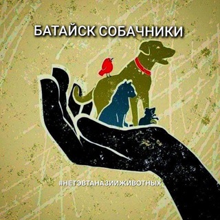 Telegram profile photo for БАТАЙСК СОБАЧНИКИ 🐾🐕🐈⬛