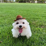 Telegram profile photo for ekyo