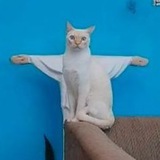 Telegram profile photo for Confusing Perspectives