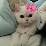 Telegram profile photo for Мне нравится