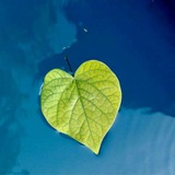 Telegram profile photo for 💕 نامه ای برای جهان 💕