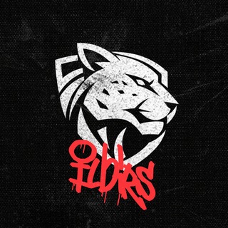 Telegram profile photo for Ilbirs Esports
