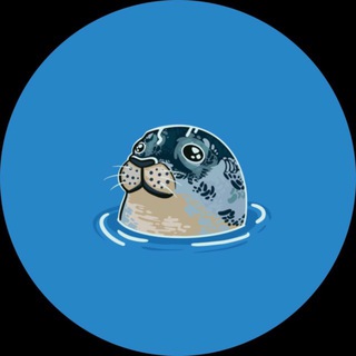 Telegram profile photo for ShillSeals Portal