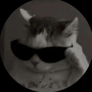 Telegram profile photo for EG PROFIT 💵