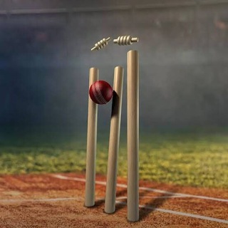 Telegram profile photo for Wicket not Cricket